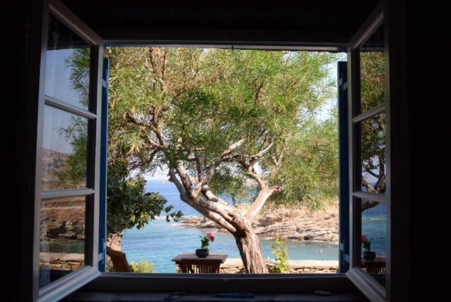 Villa Aphrodite Koundouros Zewnętrze zdjęcie